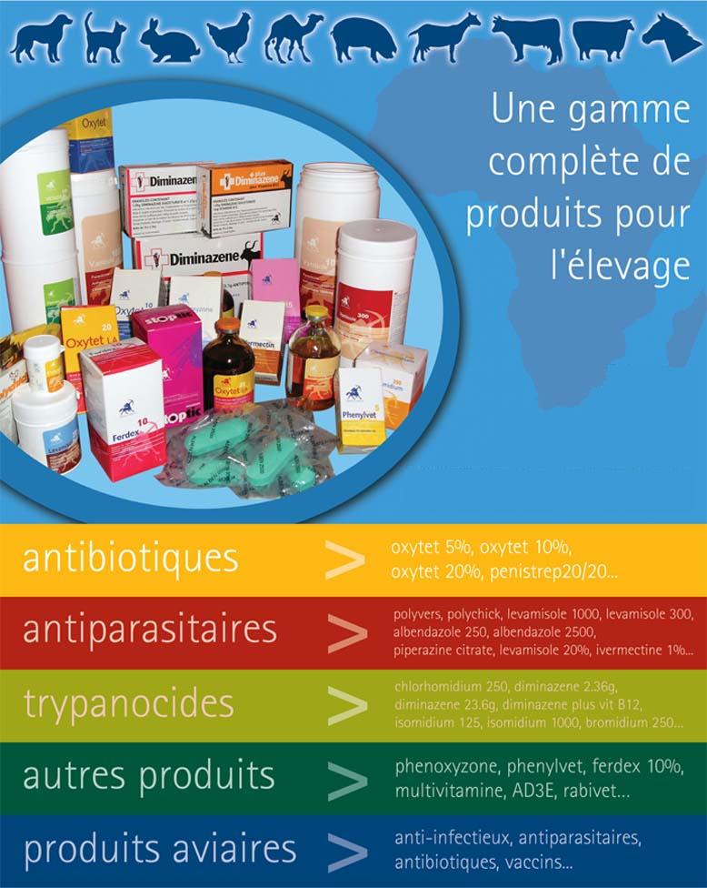 Accueil